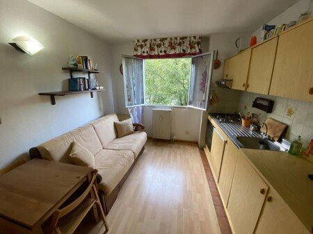 Appartamento 1 camera, con giardino