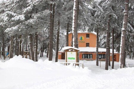 Bed and breakfast 7 ospiti, con giardino