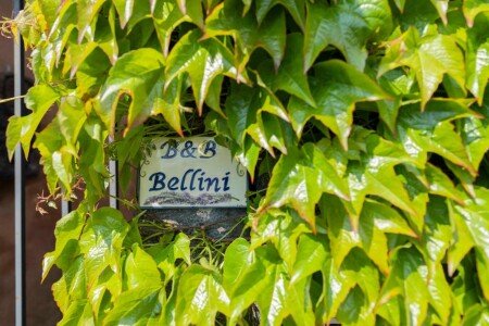 Bed and breakfast 2 ospiti, con piscina