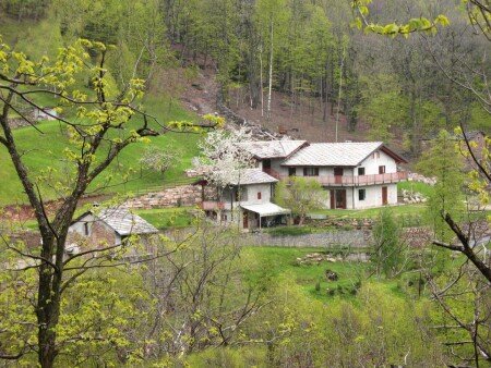 Aparthotel 4 ospiti, con giardino