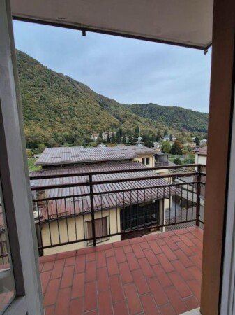 Appartamento 1 camera, con giardino