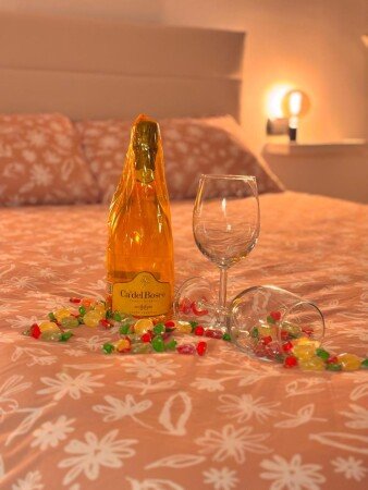 Appartamento 1 camera, con aria condizionata