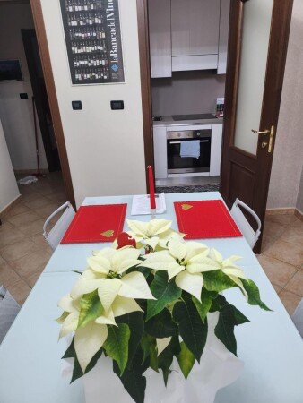 Appartamento 1 camera, con aria condizionata