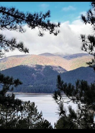 Appartamento 1 camera