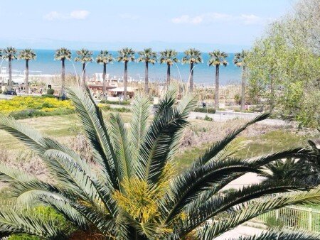 Bed and breakfast 1 camera, con aria condizionata