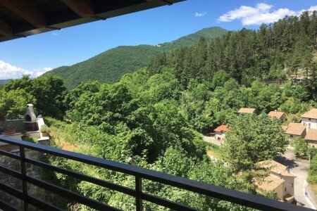 Appartamento 1 camera, con giardino