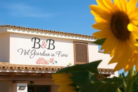 Bed and breakfast 3 ospiti, con giardino