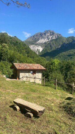 Chalet 1 camera, con giardino
