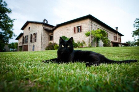 Bed and breakfast 3 ospiti, con giardino