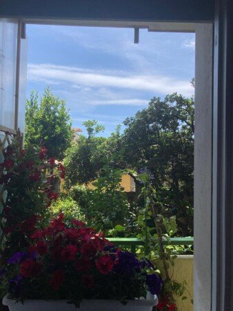 Appartement 1 chambre, avec jacuzzi