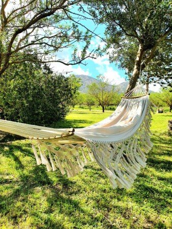Hotel con giardino