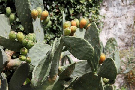 Appartamento 2 camere, con piscina