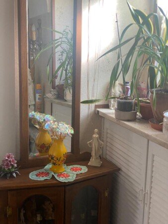 Appartamento 1 camera, con giardino