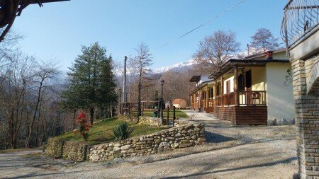 Appartamento 1 camera, con giardino