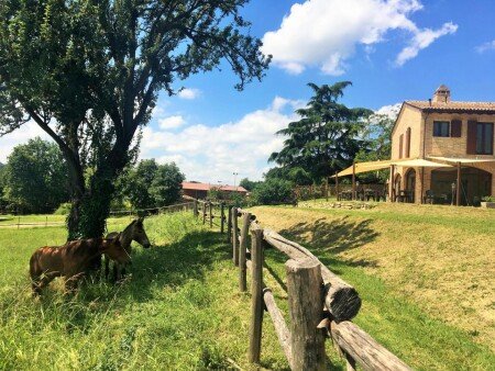 Bed and breakfast 4 ospiti, con giardino