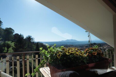 Appartamento 2 camere, con giardino