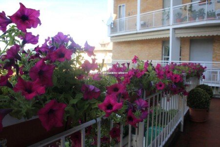 Bed and breakfast 1 camera, con colazione