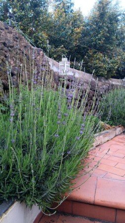 Casa 6 ospiti, con giardino