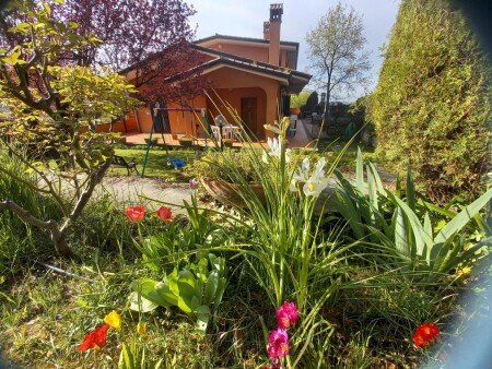 Appartamento 1 camera, con giardino