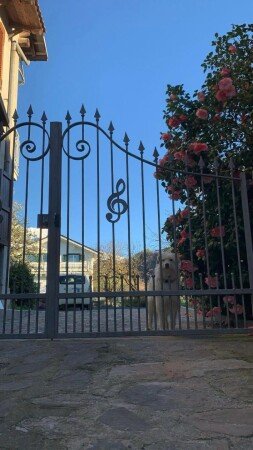 Appartamento 1 camera, con wifi