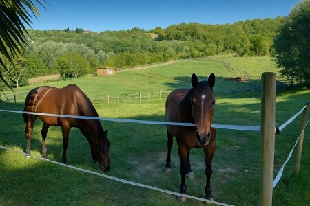 Bed and breakfast 1 camera, con giardino