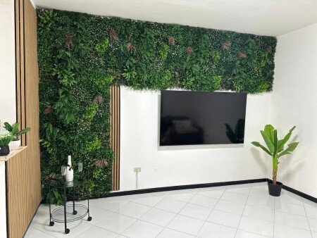 Appartamento 1 camera, con aria condizionata