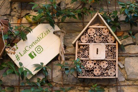 Casa 8 ospiti, con giardino