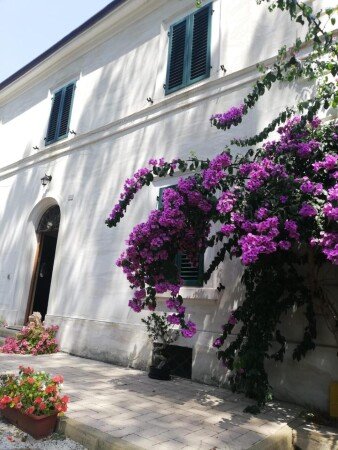 Bed and breakfast 2 ospiti, con giardino