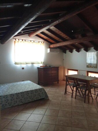 Appartamento 1 camera, con giardino