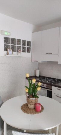 Appartamento 1 camera, con giardino