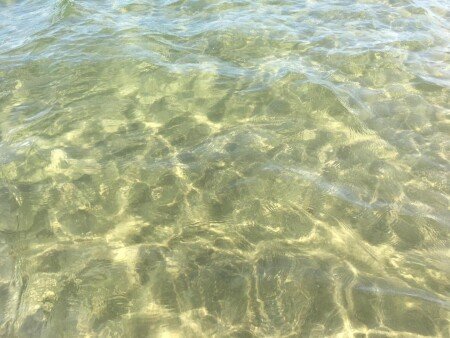 Casa 1 camera, con giardino