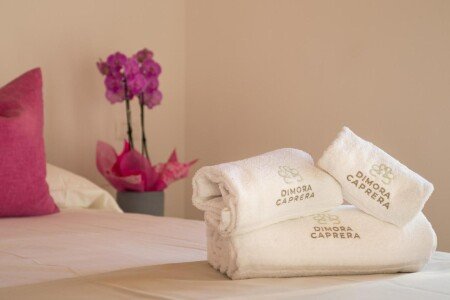 Appartamento 6 ospiti, con giardino