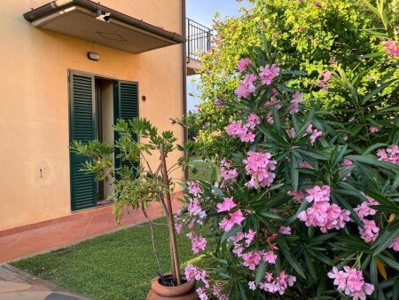 Appartamento 3 camere, con giardino