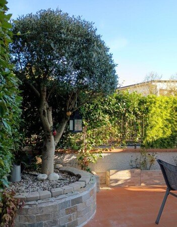 Casa 2 camere, con giardino