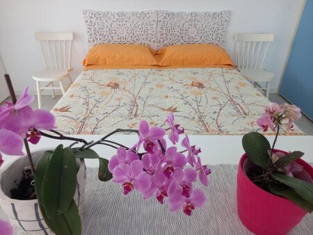 Appartamento 4 ospiti, con giardino