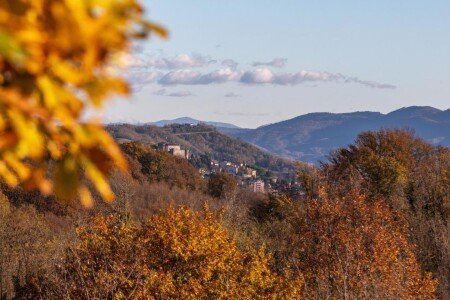 Bed and breakfast 1 camera, con giardino