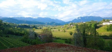 Bed and breakfast 1 camera, con giardino