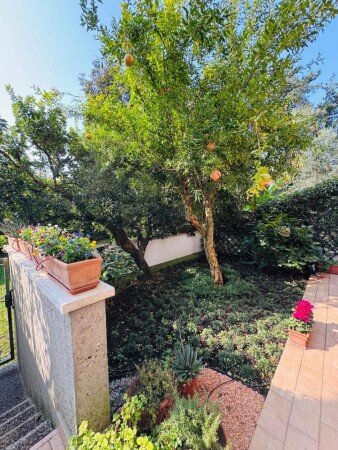 Appartamento 1 camera, con giardino