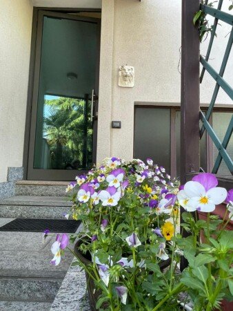 Appartamento 1 camera, con giardino