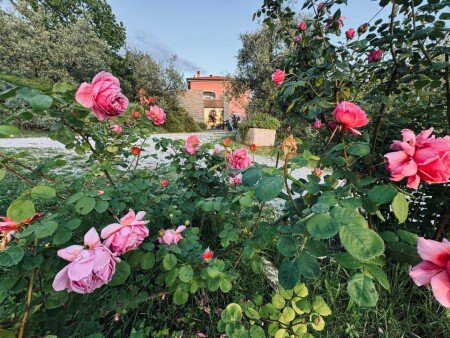Bed and breakfast 4 ospiti, con idromassaggio