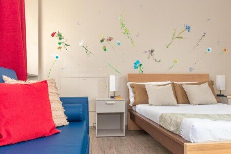 Appart'Hotel 4 voyageurs, avec jardin