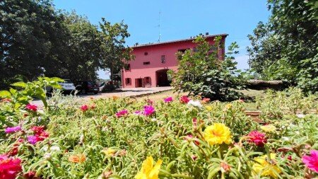Bed and breakfast 3 ospiti, con giardino