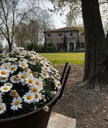 Bed and breakfast 4 ospiti, con giardino