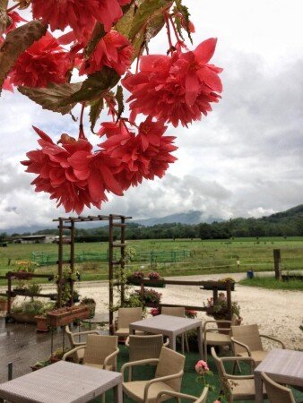 Bed and breakfast 2 ospiti, con giardino