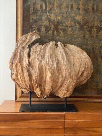 Appartamento 4 ospiti, con giardino