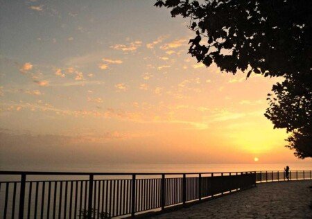 Appartamento 2 camere, con giardino