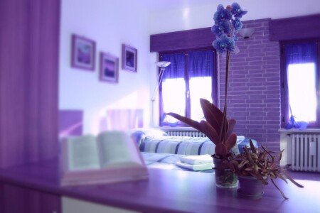 Appartamento 3 ospiti, con giardino