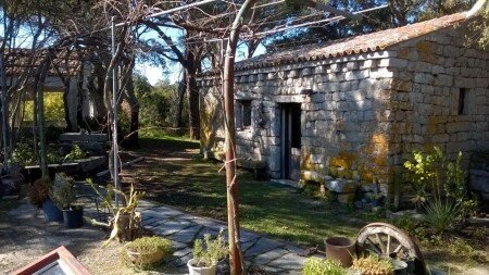 Bed and breakfast 3 ospiti, con giardino