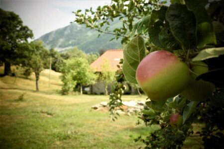 Bed and breakfast 6 ospiti, con idromassaggio