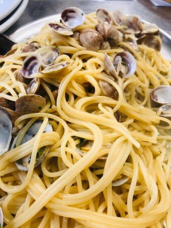 Bed and breakfast 8 ospiti, con giardino